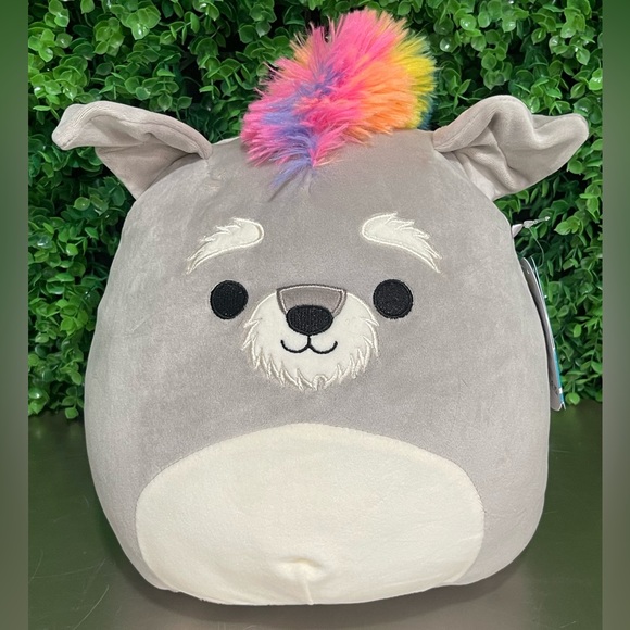 May the Schnauzer 10"+ Dog Squish-Doo nwt original Squishmallow. - Picture 1 of 8